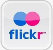 Search Flicker for Photos of City Council