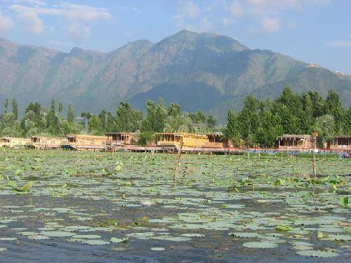 India Srinagar  Dal Lake Dal Lake India - Srinagar  - India