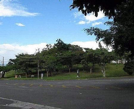 Iguana Park