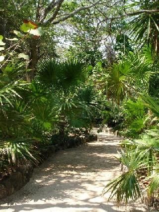 Mexico Cozumel Botanical Garden Botanical Garden Quintana Roo - Cozumel - Mexico