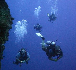 Mexico Cozumel Caribbean Divers Caribbean Divers Quintana Roo - Cozumel - Mexico