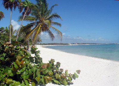 Mexico Playa Del Carmen Akumal Akumal Quintana Roo - Playa Del Carmen - Mexico