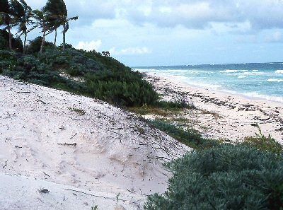 Mexico Playa Del Carmen Sian Ka´an Nature Reserve Sian Ka´an Nature Reserve Quintana Roo - Playa Del Carmen - Mexico