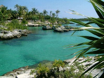 Mexico Playa Del Carmen Xel- Ha Xel- Ha Quintana Roo - Playa Del Carmen - Mexico