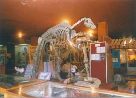 Mexico Delicias Palaeontology Museum Palaeontology Museum Mexico - Delicias - Mexico