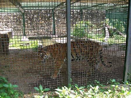  Maracay Zoo