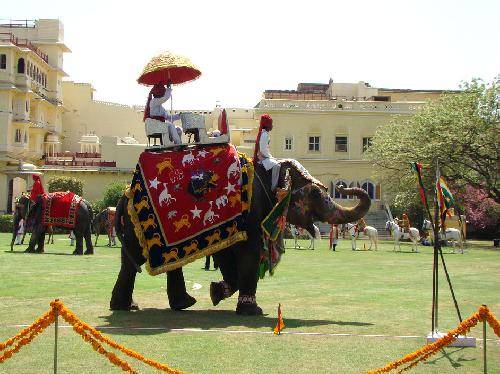India Jaipur Elephant Festival Elephant Festival Rajasthan - Jaipur - India