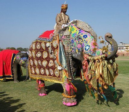 India Jaipur Elephant Festival Elephant Festival Rajasthan - Jaipur - India