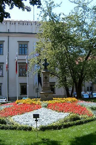 Wielopolski Palace