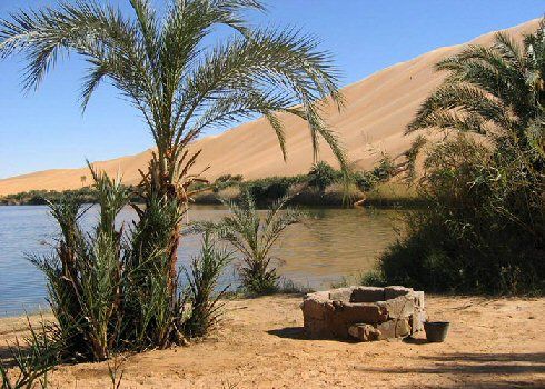 Egypt  Bahariya Oasis Bahariya Oasis Bahariya Oasis -  - Egypt