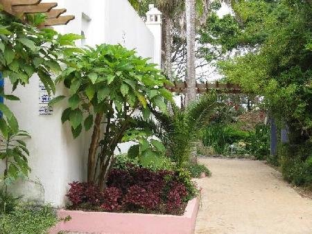 The Exotic Gardens of Bouknadel