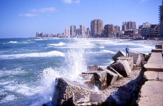 Egypt Alexandria El Nagea El Gedid El Nagea El Gedid Alexandria - Alexandria - Egypt