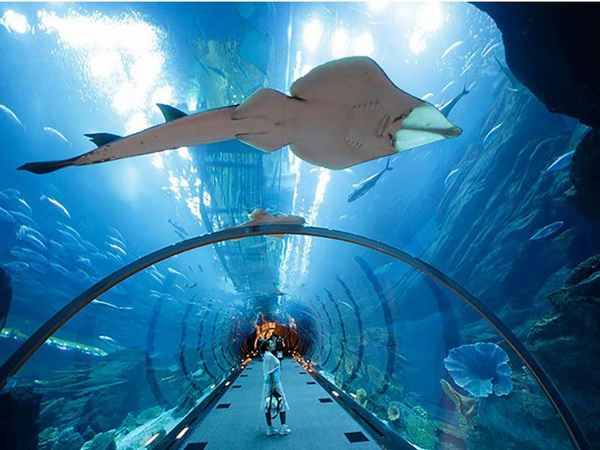 Thailand Pattaya Underwater World Underwater World Thailand - Pattaya - Thailand