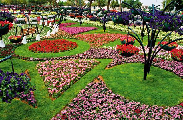 United Arab Emirates Abu Dhabi Al Ain Paradise Garden Al Ain Paradise Garden United Arab Emirates - Abu Dhabi - United Arab Emirates