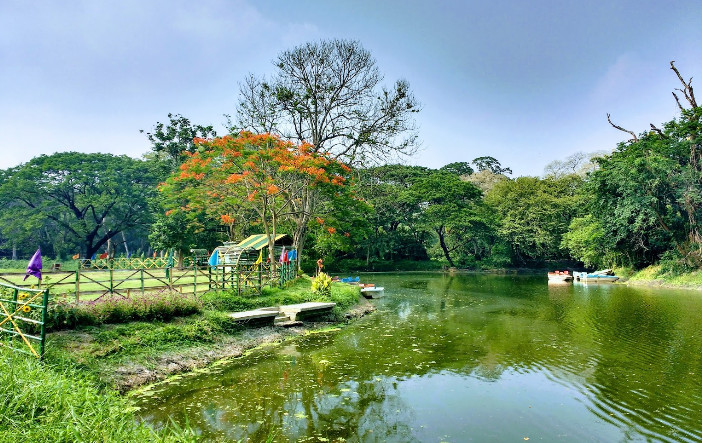 India Calcutta Botanical Garden Botanical Garden India - Calcutta - India