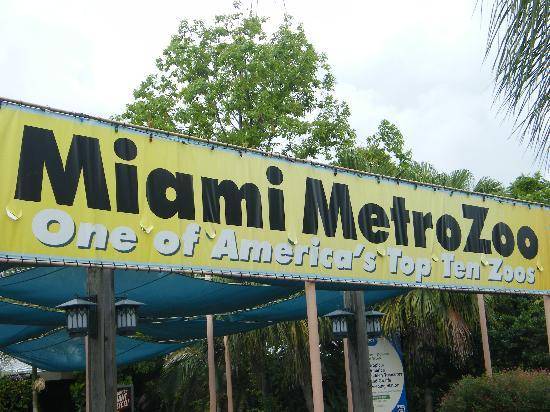 United States of America Miami  Metro zoo Metro zoo United States of America - Miami  - United States of America