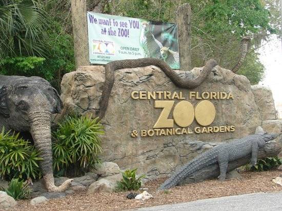 United States of America Orlando  Central Florida Zoological Park Central Florida Zoological Park Orlando - Orlando  - United States of America
