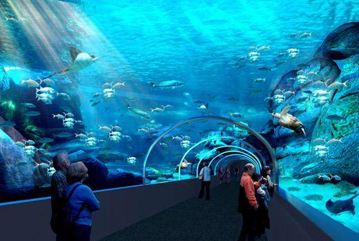 South Africa Cape Town  Two Oceans Aquarium Two Oceans Aquarium South Africa - Cape Town  - South Africa
