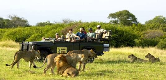 South Africa Kruger National Park Mala Mala Game Reserve Mala Mala Game Reserve South Africa - Kruger National Park - South Africa