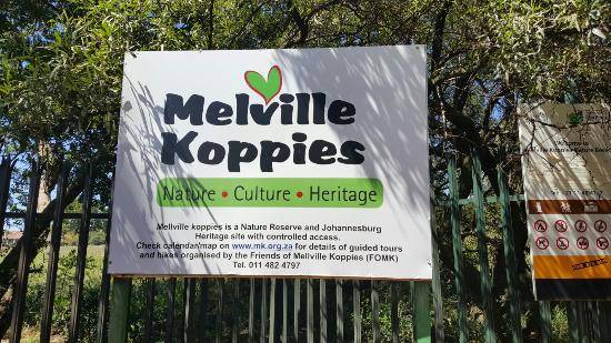 South Africa Johannesburg Melville Koppies Nature Reserve Melville Koppies Nature Reserve South Africa - Johannesburg - South Africa