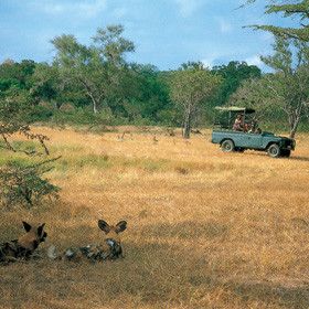 Tanzania Morogoro  Selous Game  Reserve Selous Game  Reserve Tanzania - Morogoro  - Tanzania