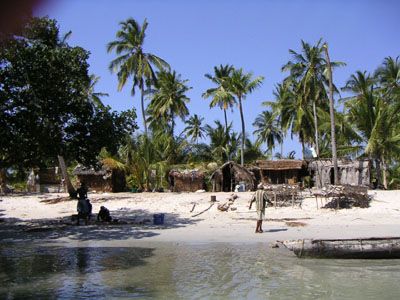 Tanzania  Mafia  Island Mafia  Island Tanzania -  - Tanzania
