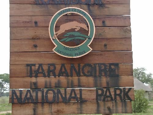 Tanzania  Tarangire National Park Tarangire National Park Arusha -  - Tanzania