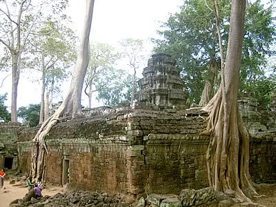 Cambodia Angkor Ta Prohm Ta Prohm Cambodia - Angkor - Cambodia