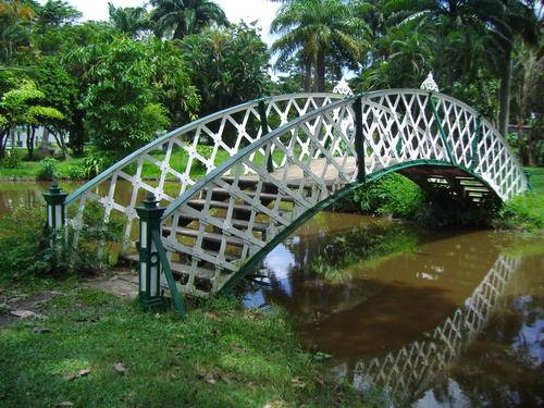 Guyana Georgetown  Botanical Garden Botanical Garden Guyana - Georgetown  - Guyana