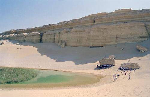 Egypt El Fayoum Natural Park of Wadi EI Rayyan Natural Park of Wadi EI Rayyan Egypt - El Fayoum - Egypt