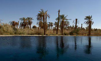 The Deserts and Oasis of Egypt