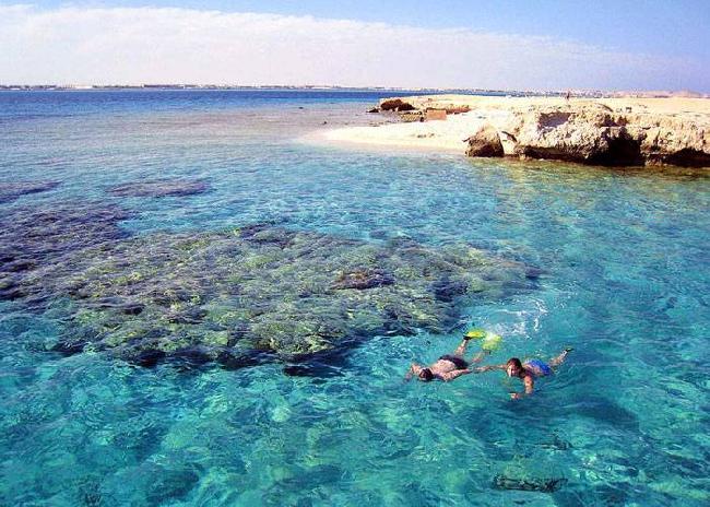 Egypt Hurghada Geffton Reserve Geffton Reserve Red Sea - Hurghada - Egypt