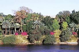 Egypt Aswan Botanical Island Botanical Island Aswan - Aswan - Egypt