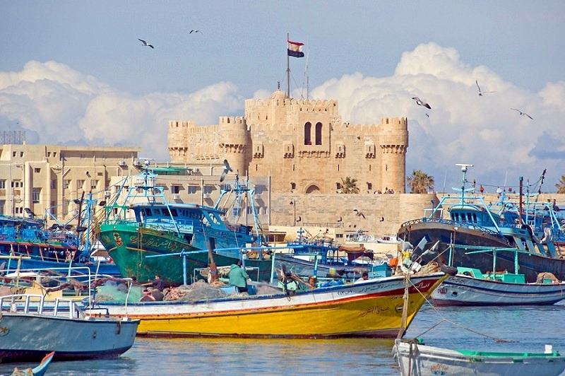 Visita de medio día a la histórica Alejandría desde El Cairo (12 horas)