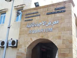 Viaje de un día a Alamein y Alejandría (9 horas)