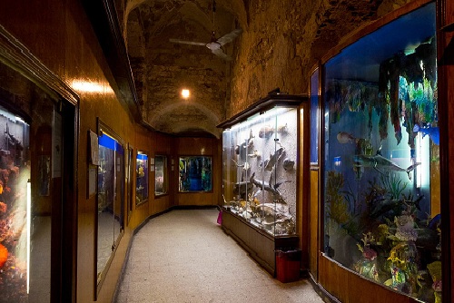 Viaje de un día a Alamein y Alejandría (9 horas)