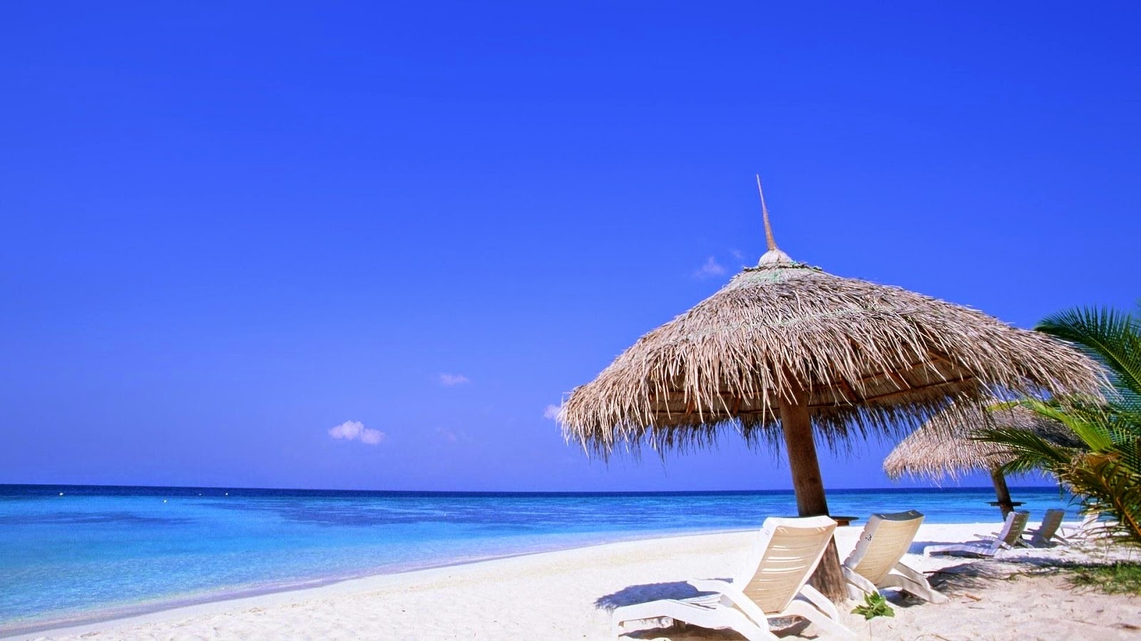 12 Days Pyramids, Nile Cruise & Hurghada Tours